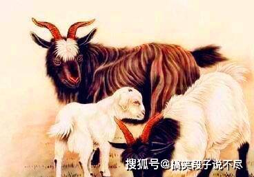 神马行空普天瑞仙羊下界遍地春猜生肖,警惕虚假宣传,统计解答解释落实