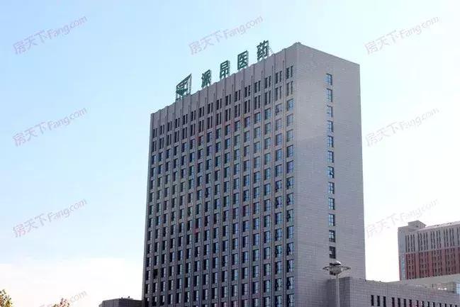 今期生肖九字头，免来本期看四九打一最佳生肖的全面释义、解释与落实、统计解答解释落实